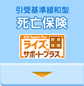 引受基準緩和型死亡保険ライズサポートプラス