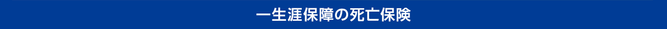 一生涯保障の死亡保険