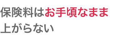 保険料はお手頃なまま上がらない