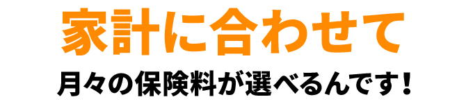 家計に合わせて月々の保険料が選べるんです！