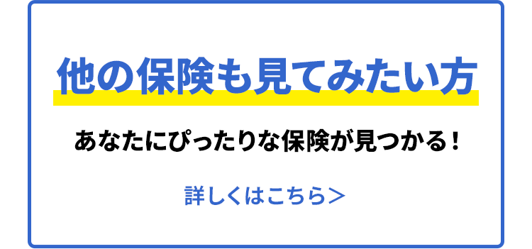 保険金額で選ぶタイプ