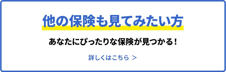 保険金額で選ぶタイプ