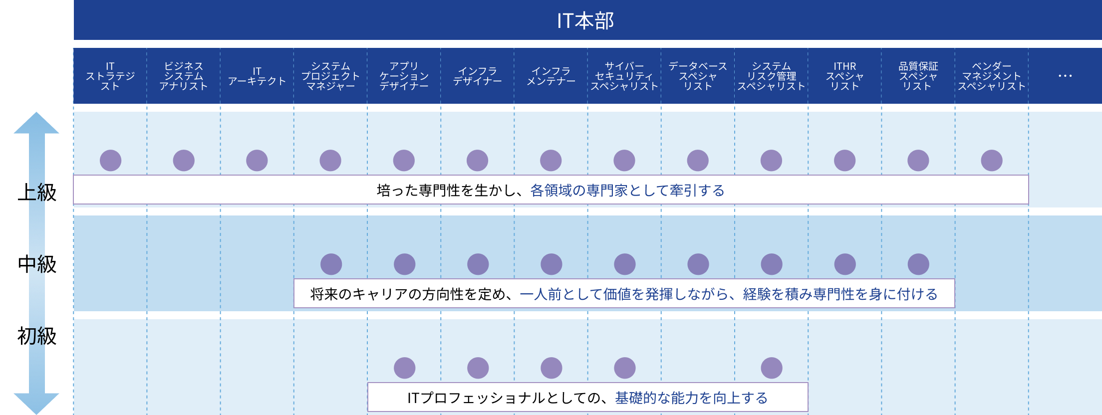 キャリアパスイメージ