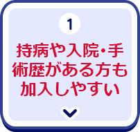 1.持病や入院・手術歴がある方も加入しやすい