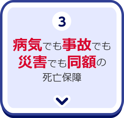 3.病気でも事故でも災害でも同額の死亡保障