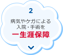 2.病気やケガによる入院・手術を一生涯保障