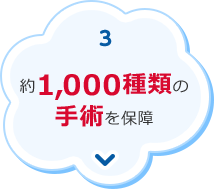 3.約1,000種類の手術を保障