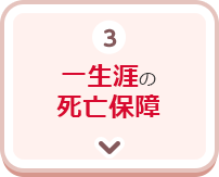 3.一生涯の死亡保険